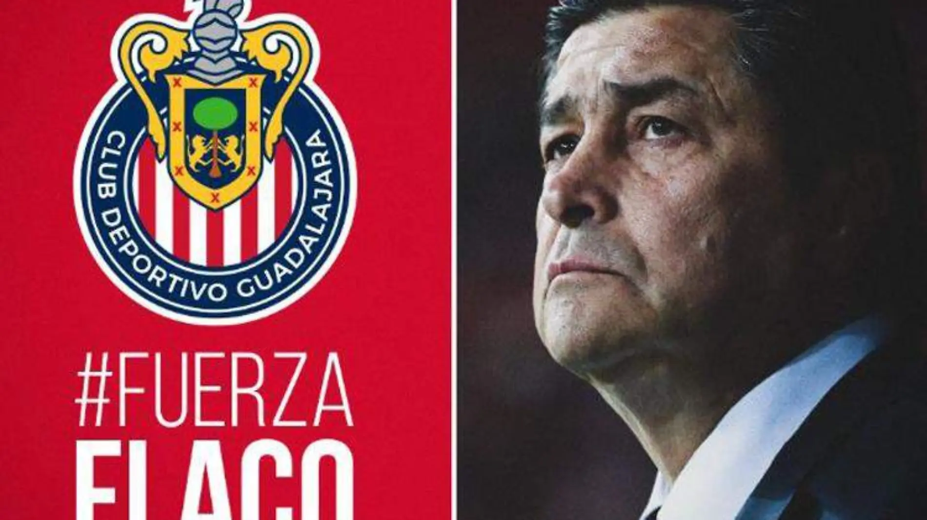 fernando tena chivas